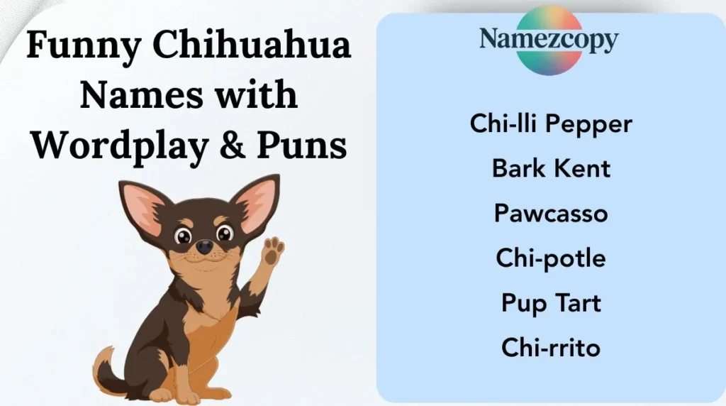 Funny Chihuahua Names with Wordplay & Puns
