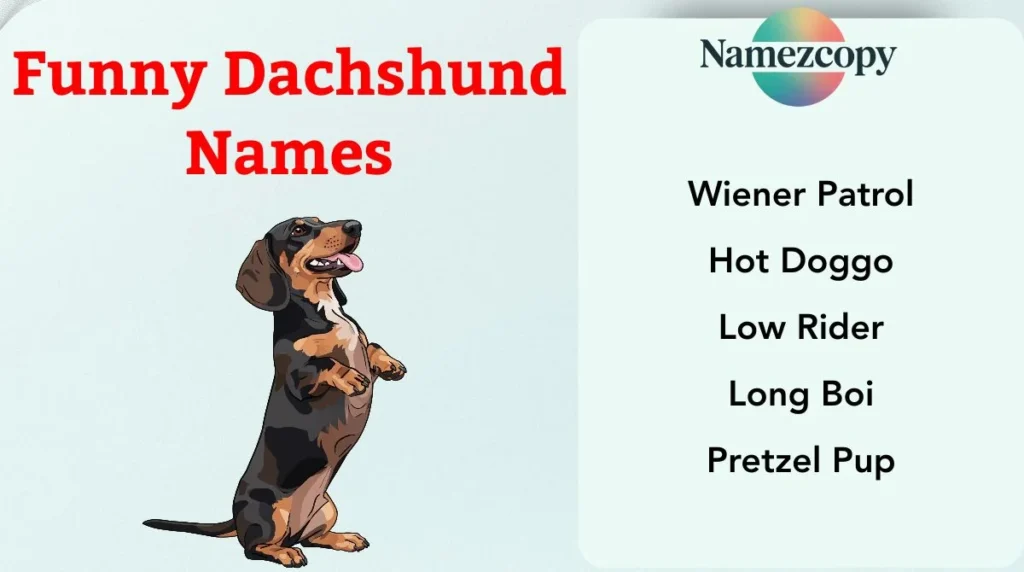 Funny Dachshund Names