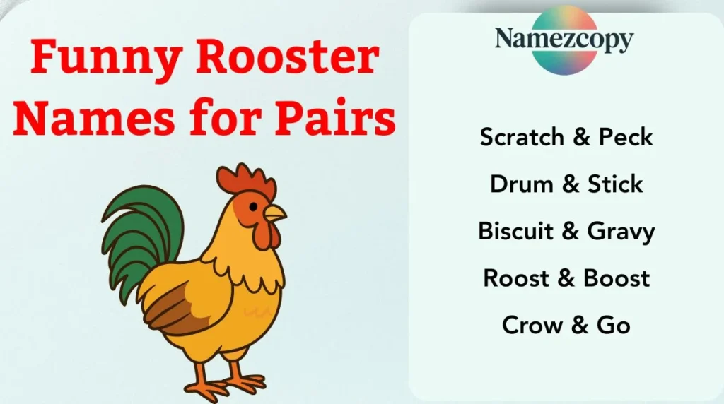 Funny Rooster Names for Pairs