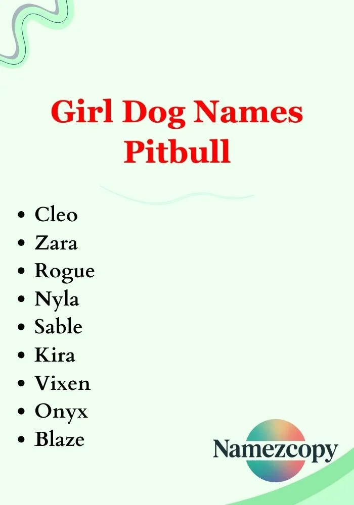 Girl Dog Names Pitbull