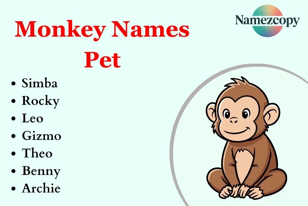 Monkey Names Pet