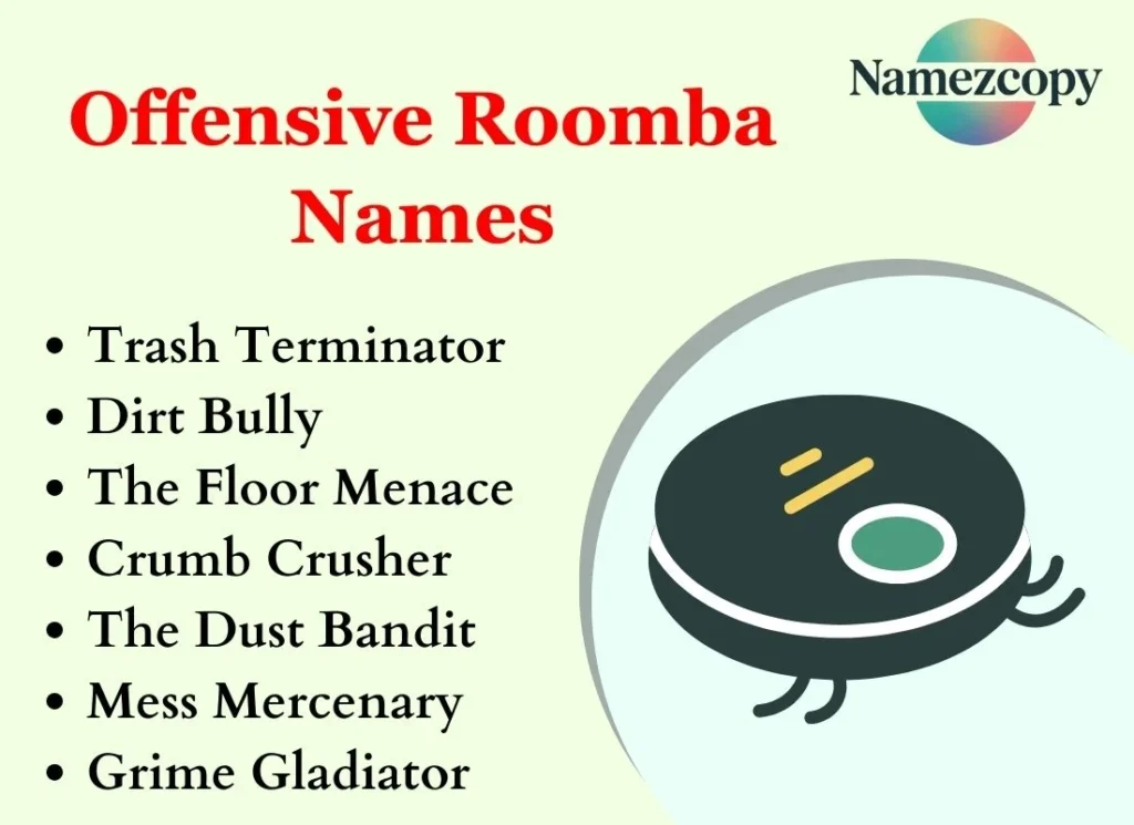 Offensive Roomba Names