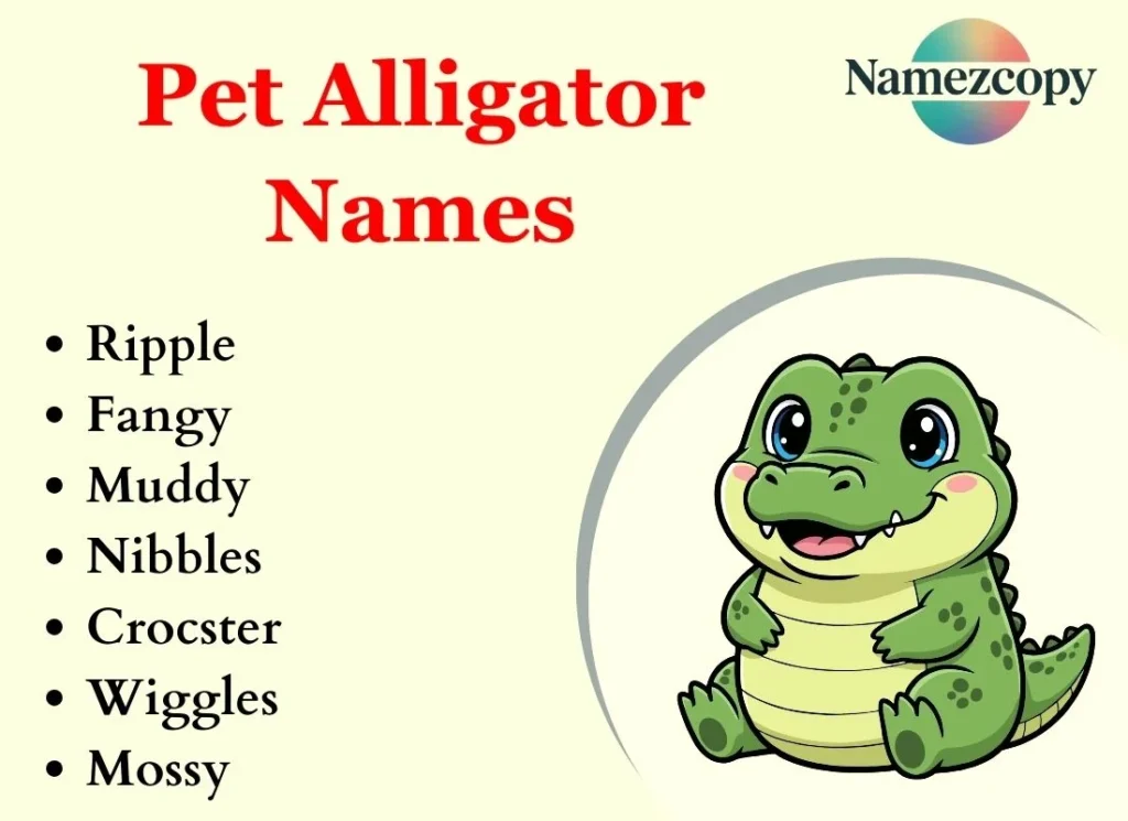 Pet Alligator Names