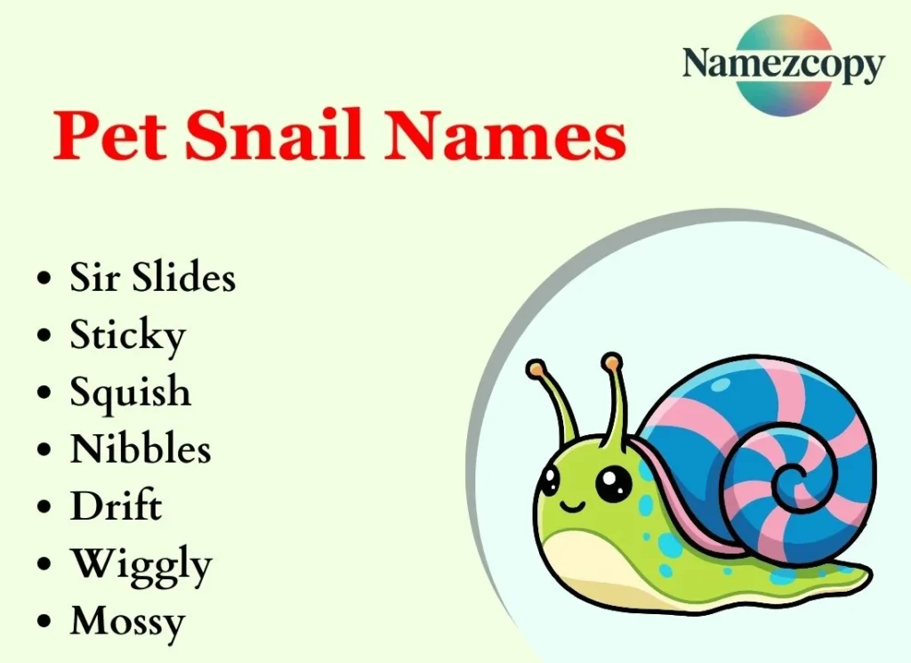 Pet Snail Names