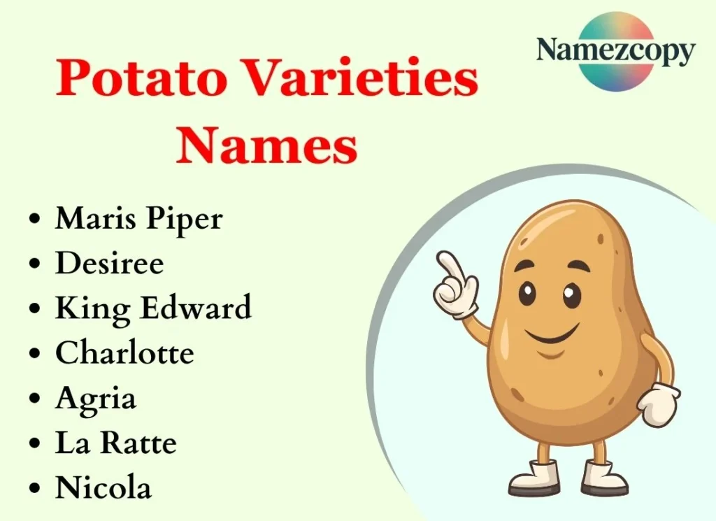 Potato Varieties Names
