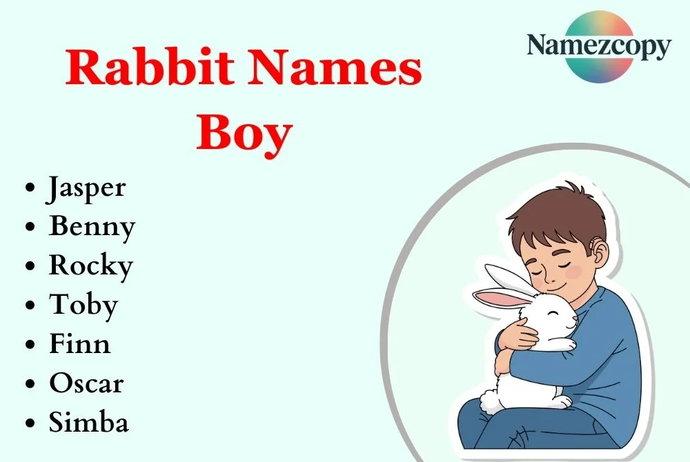Rabbit Names Boy