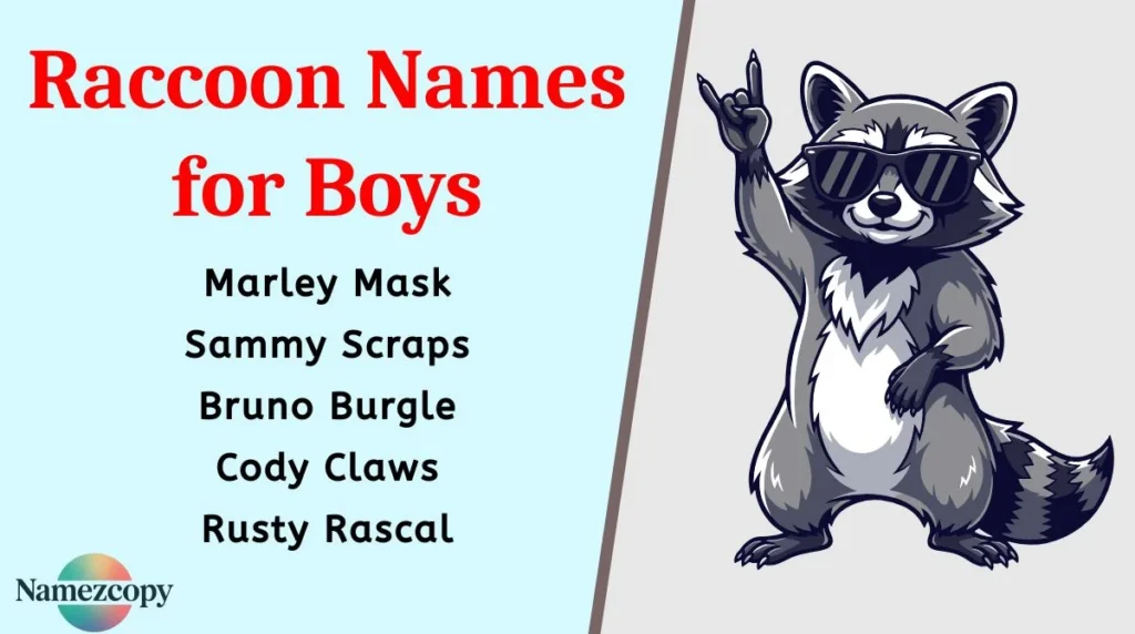 Raccoon Names for Boys