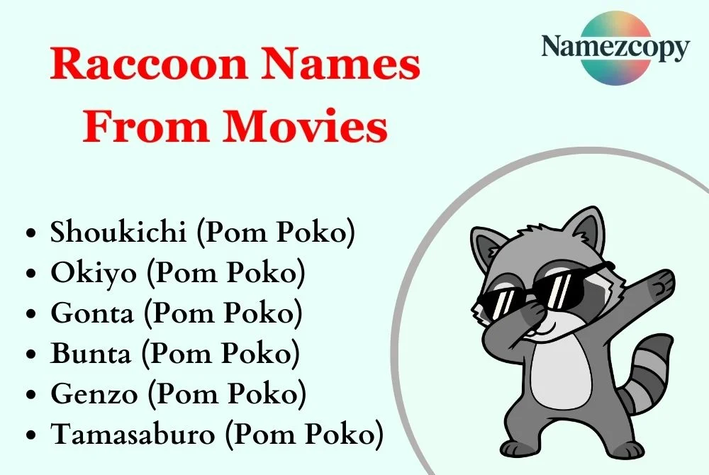 Raccoon Names From Movies