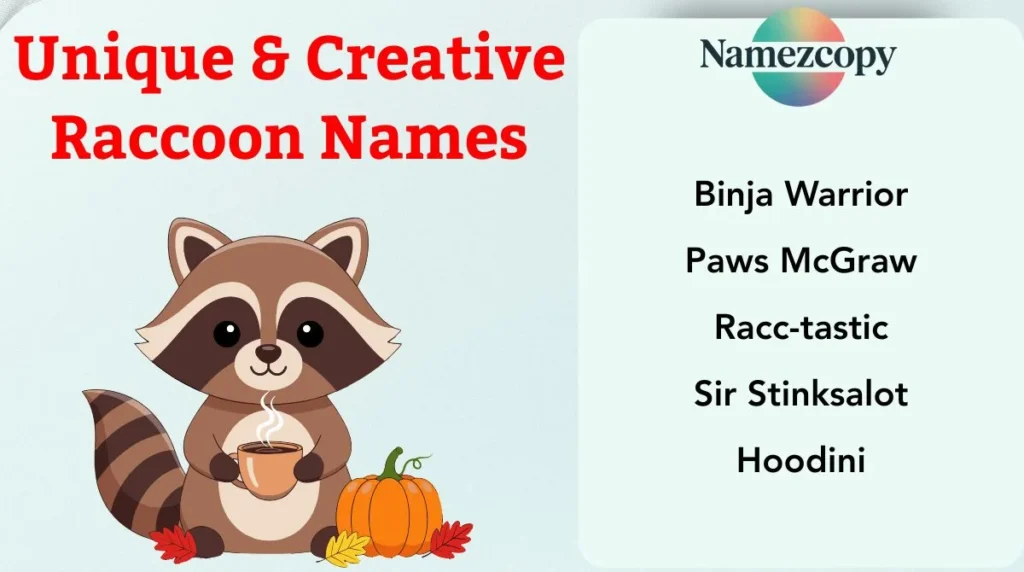 Unique & Creative Raccoon Names