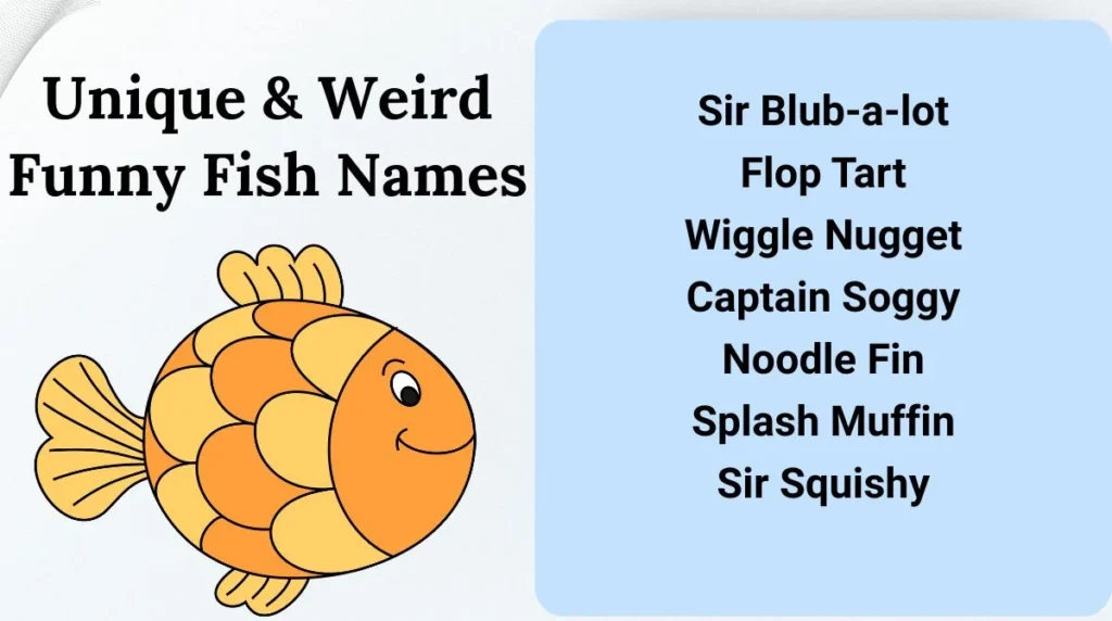 Unique & Weird Funny Fish Names