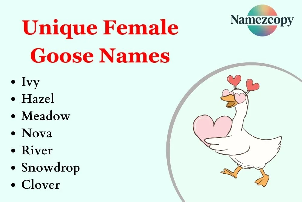 Unique Female Goose Names