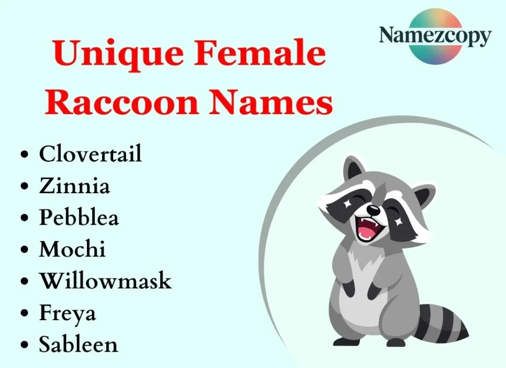 Unique Female Raccoon Names