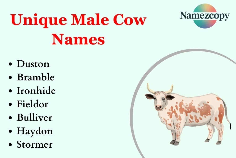 Unique Male Cow Names