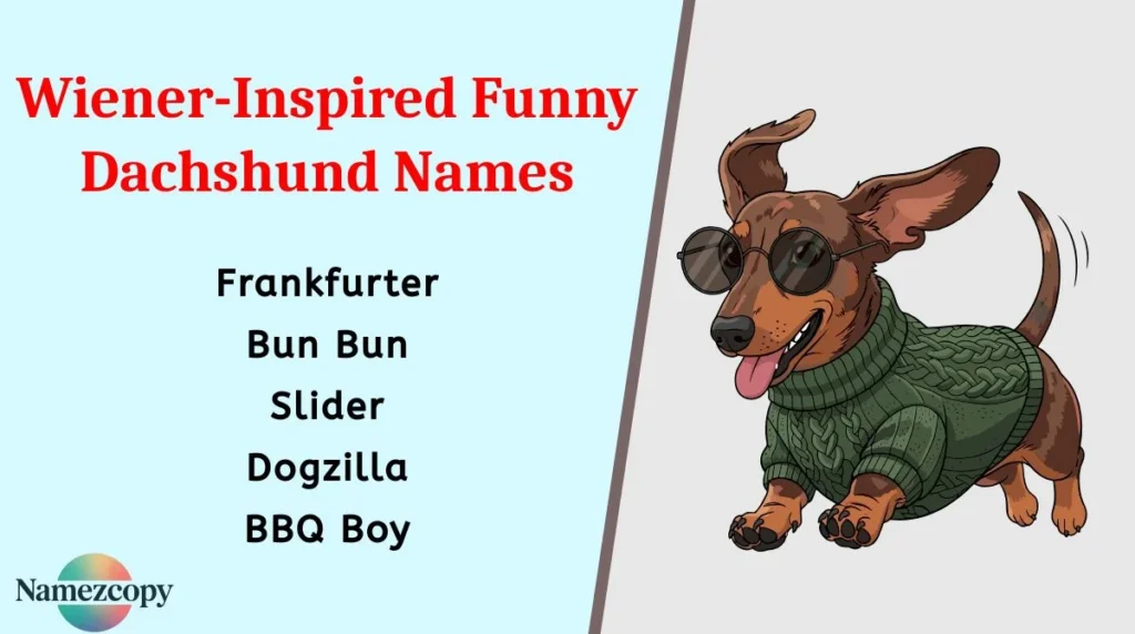 Wiener-Inspired Funny Dachshund Names