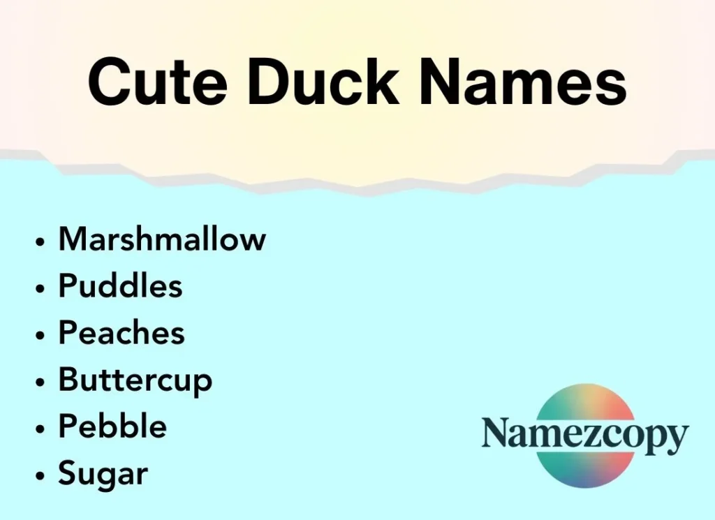 Cute Duck Names