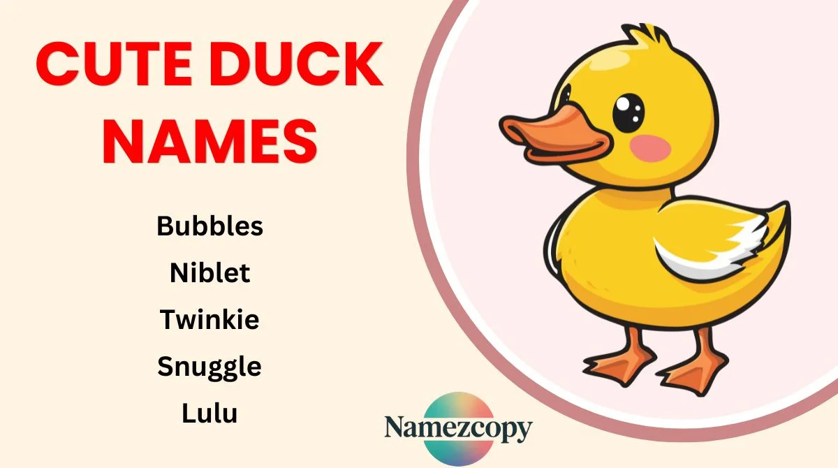 Cute Duck Names