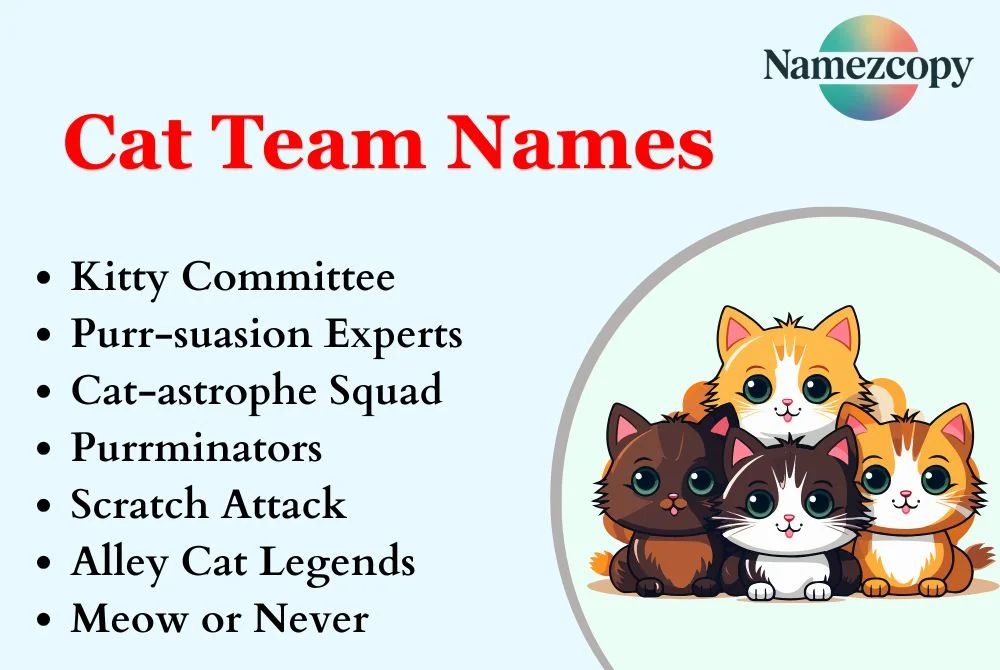 Cat Team Names