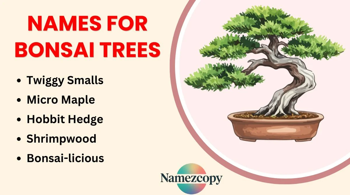Names for Bonsai Trees