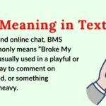 BMS Meaning in Text