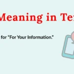 FYI Meaning in Text