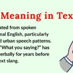 WYS Meaning in Text