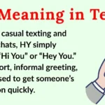 HY Meaning in Text