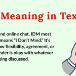 IDM Meaning in Text