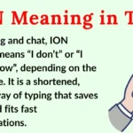 ION Meaning in Text
