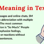 SM Meaning in Text