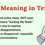 SMT Meaning in Text