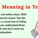 SNM Meaning in Text