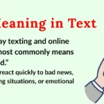 TS Meaning in Text