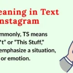 TS Meaning in Text Instagram