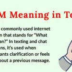 WDYM Meaning in Text