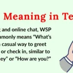 WSP Meaning in Text