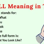 WYLL Meaning in Text